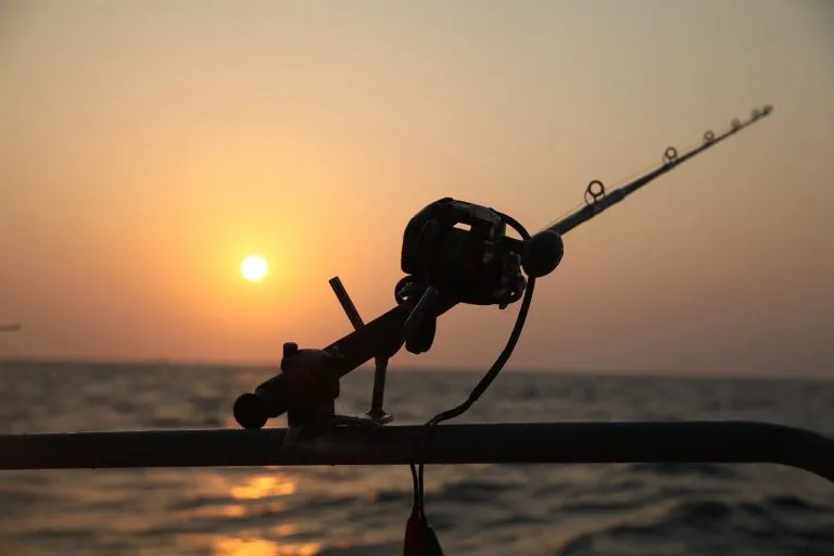 big game fishing sunset